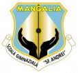 emblema_scolii_sf._andrei_mangalia